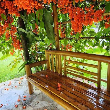 A Sua Casa De Campo Na Chapada Villa Alto Paraíso de Goiás Buitenkant foto